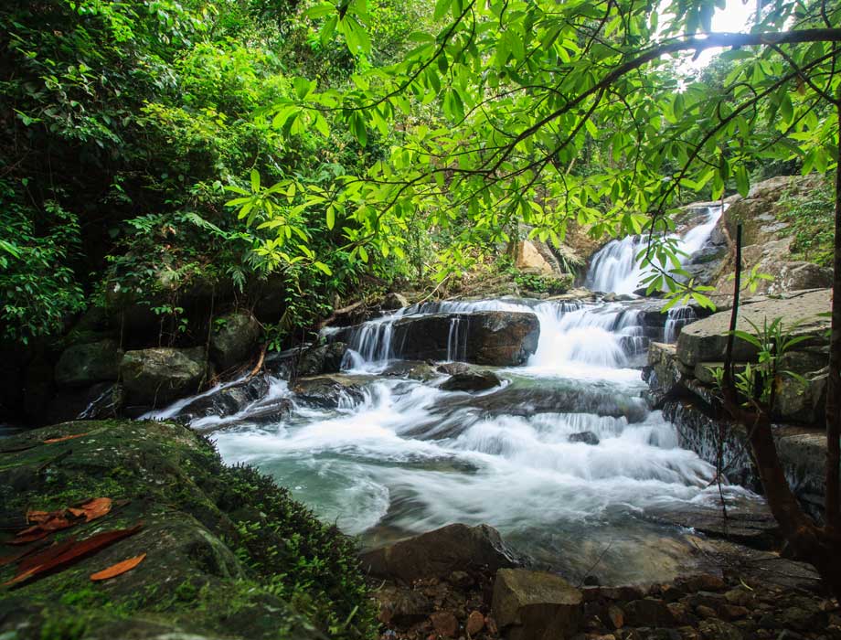 Jungle Trek to a Waterfall