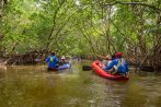Canoeing on Klong Sang Nae canal near Takua Pa