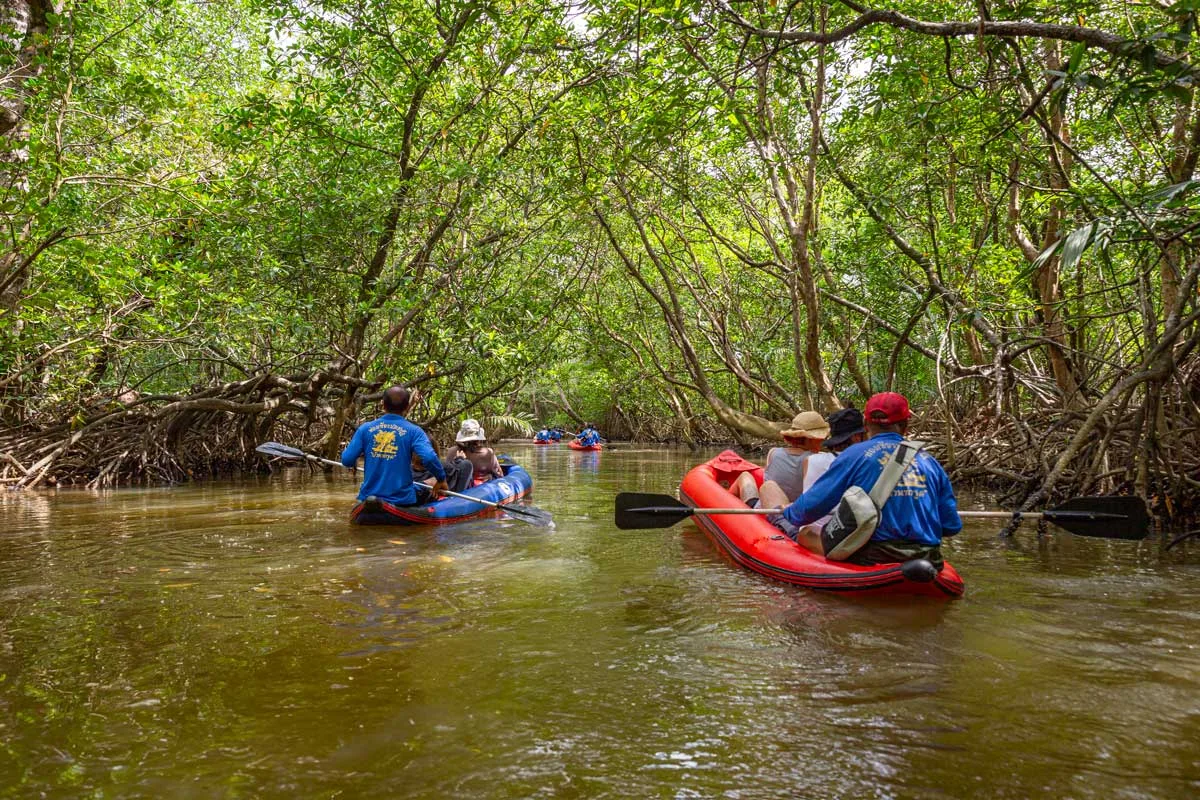 Canoeing on Klong Sang Nae canal near Takua Pa