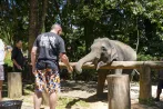 Feeding an elephant during a Khao Lak safari tour