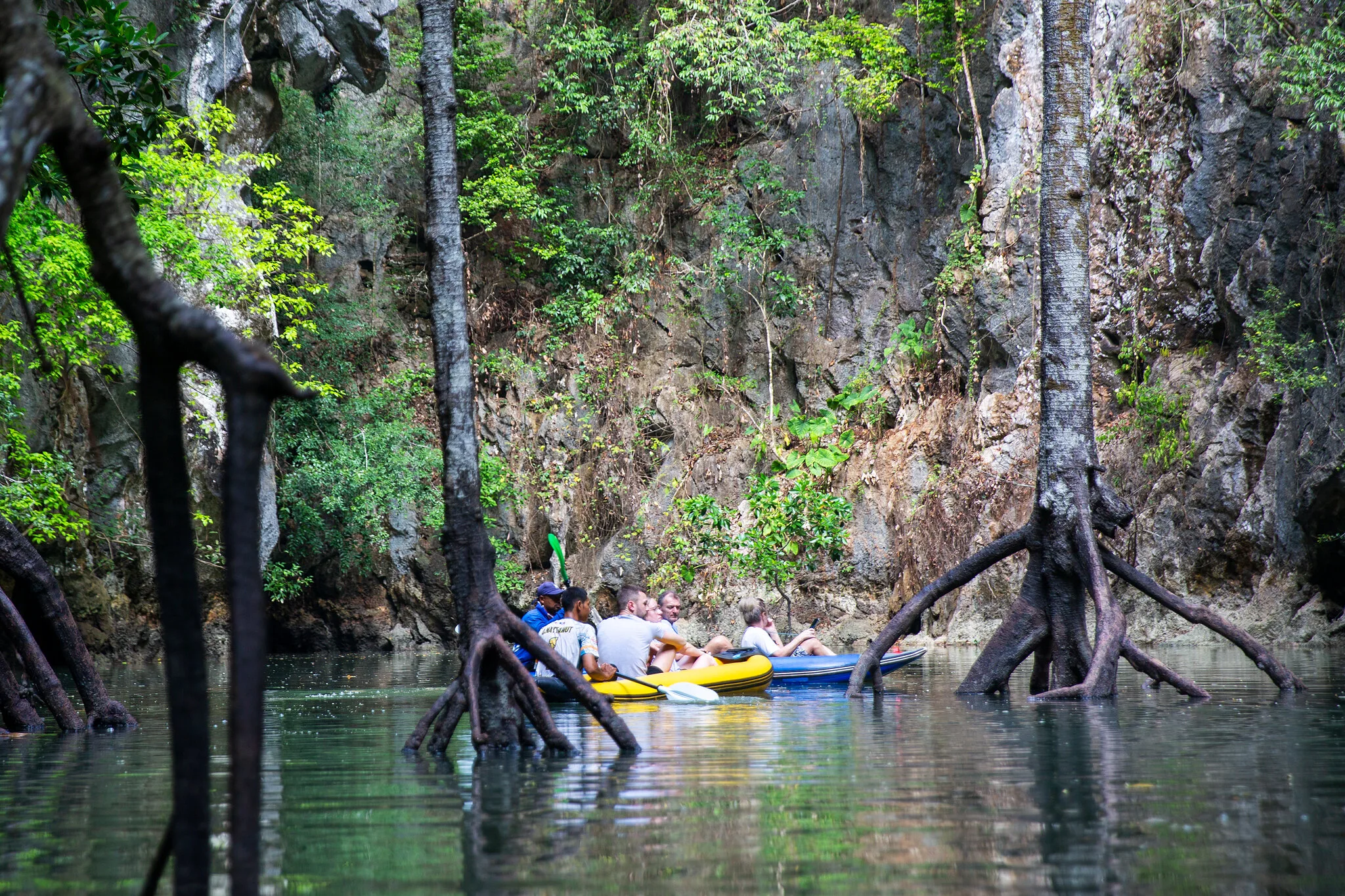 Canoe group paddling past mangrove roots under limestone cliffs inside the Hong Island lagoon