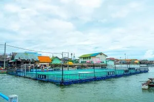 Floating football pitch at Koh Panyi fishing village, the lunch stop on the Phang Nga Bay tour