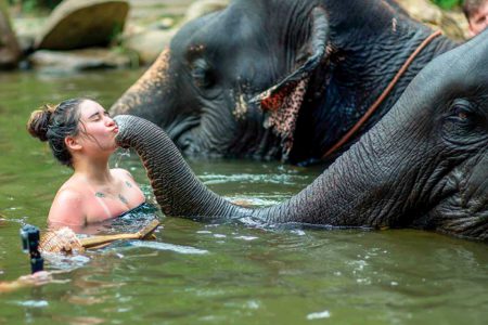Khao Lak Safari Elephant bathing