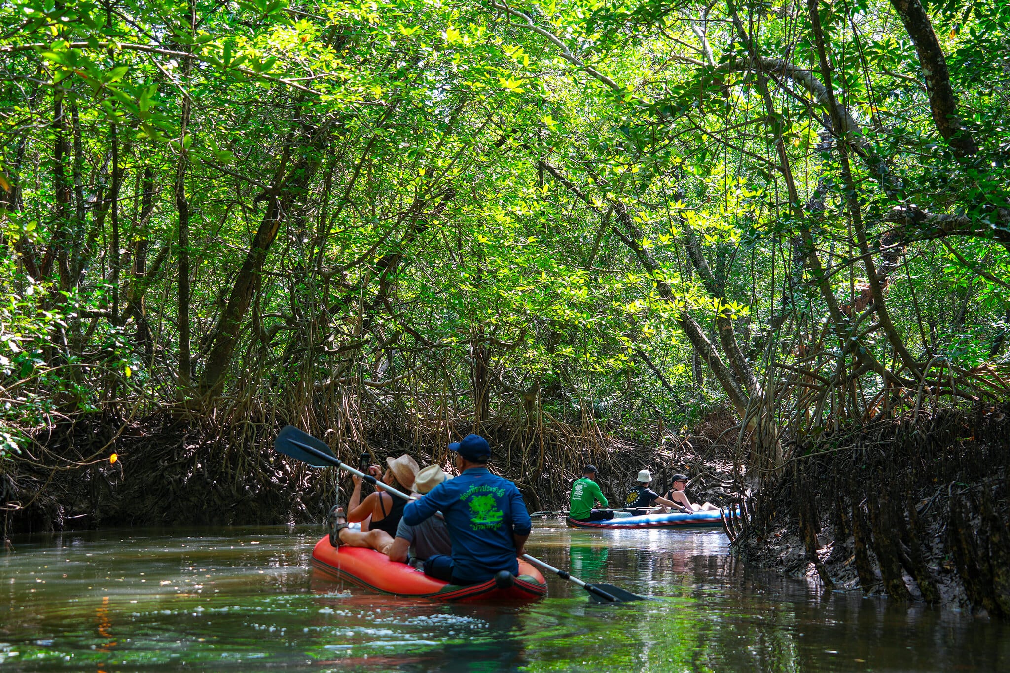 Gäste paddeln mit Kajaks durch den Mangrovenwald von Klong Sang Nae bei Takua Pa