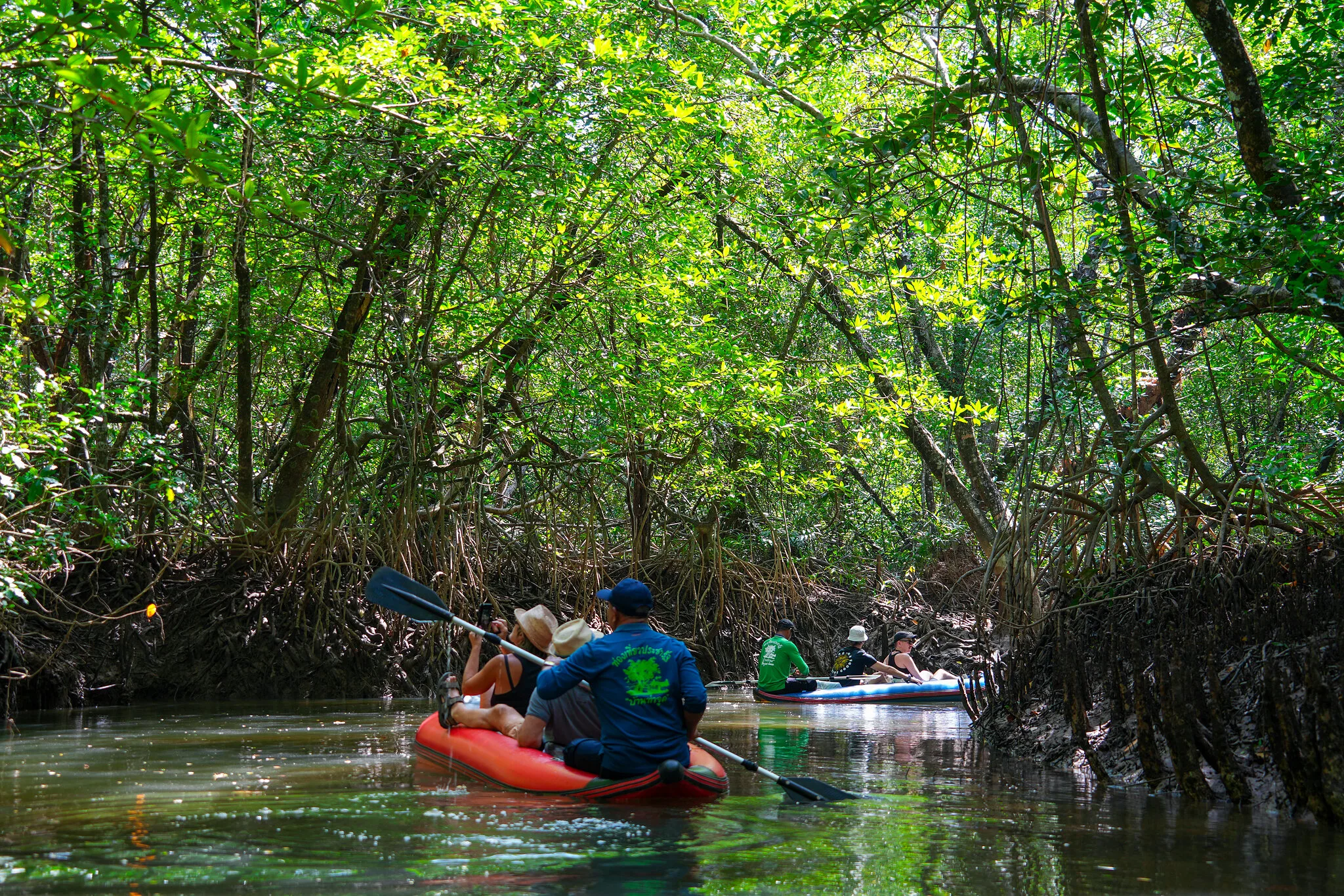 Guests paddling kayaks through the mangrove forest of Klong Sang Nae near Takua Pa