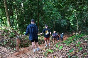 Kleine Gruppe wandert einen grünen Regenwaldpfad hinunter zum Wasserfall bei Khao Lak