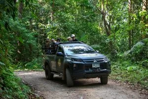 Safari 4x4 with guests standing in the back driving a dirt track through dense jungle