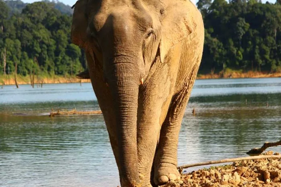 Khao Lak Land Discovery - Khao Lak Tours