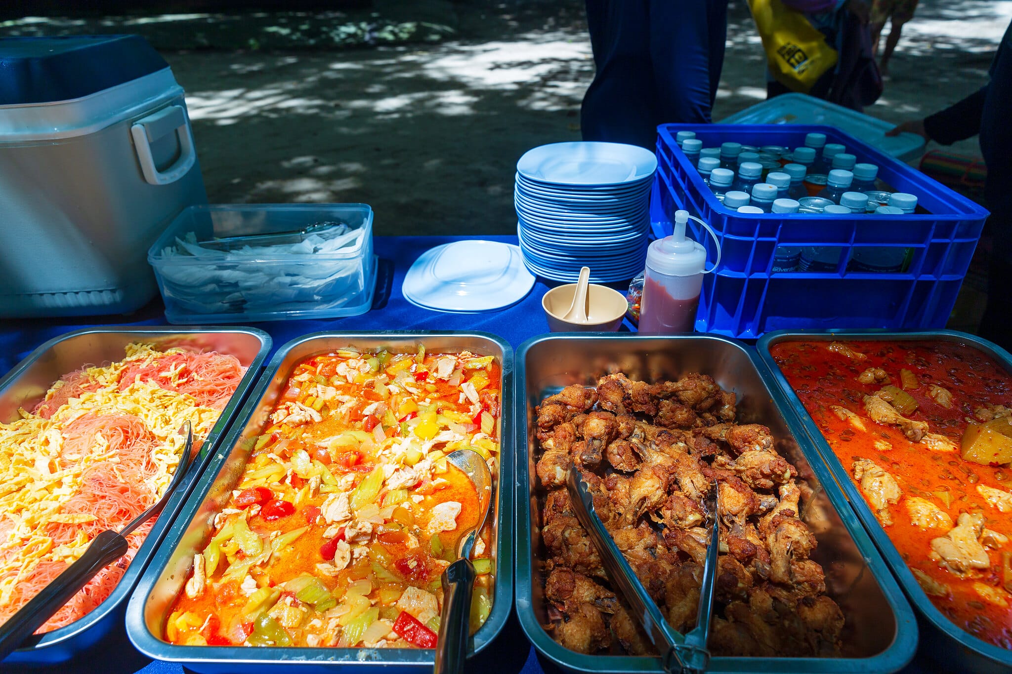 Thai buffet picnic lunch with curries, salad and fried chicken served on the beach, Similan Islands tour