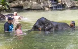 Bathing-with-Elephants-in-Khao-Lak-jpg