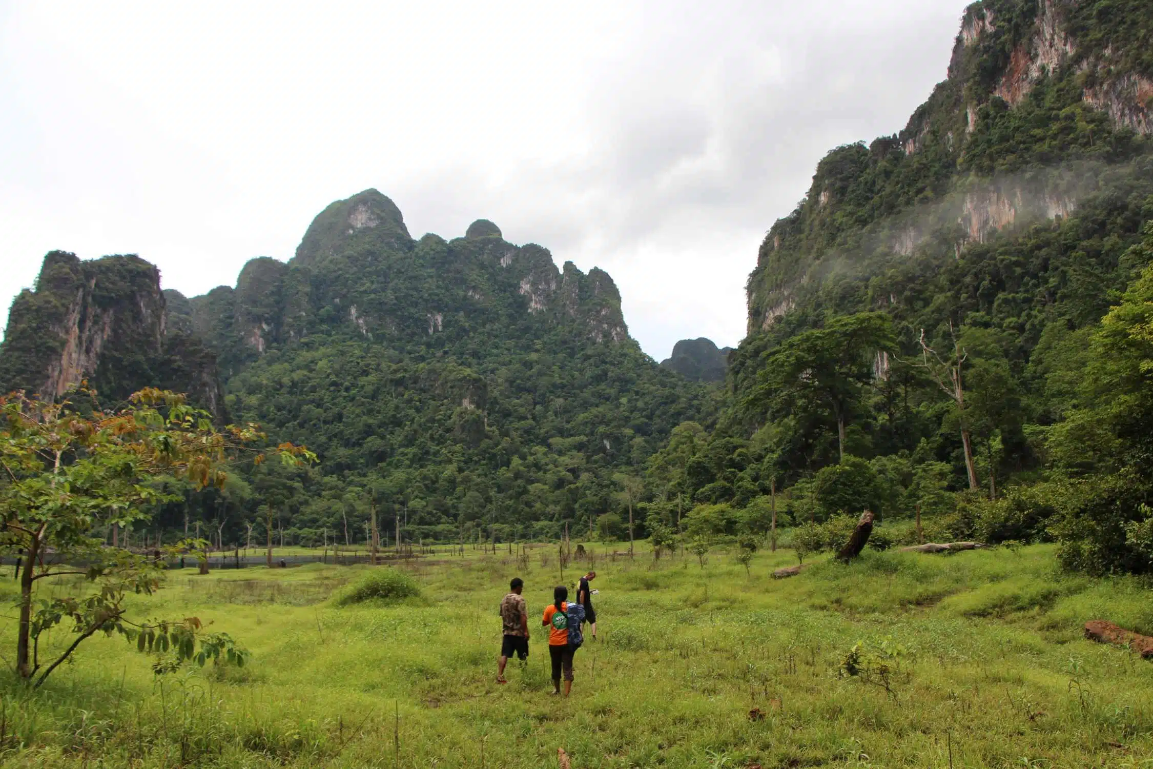 Jungle trekking trail beside Cheow Lan Lake