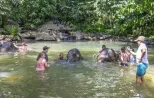 Elephant-Interaction-Khao-Lak-jpg