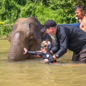 Khao Sok Elephant Bathing tour