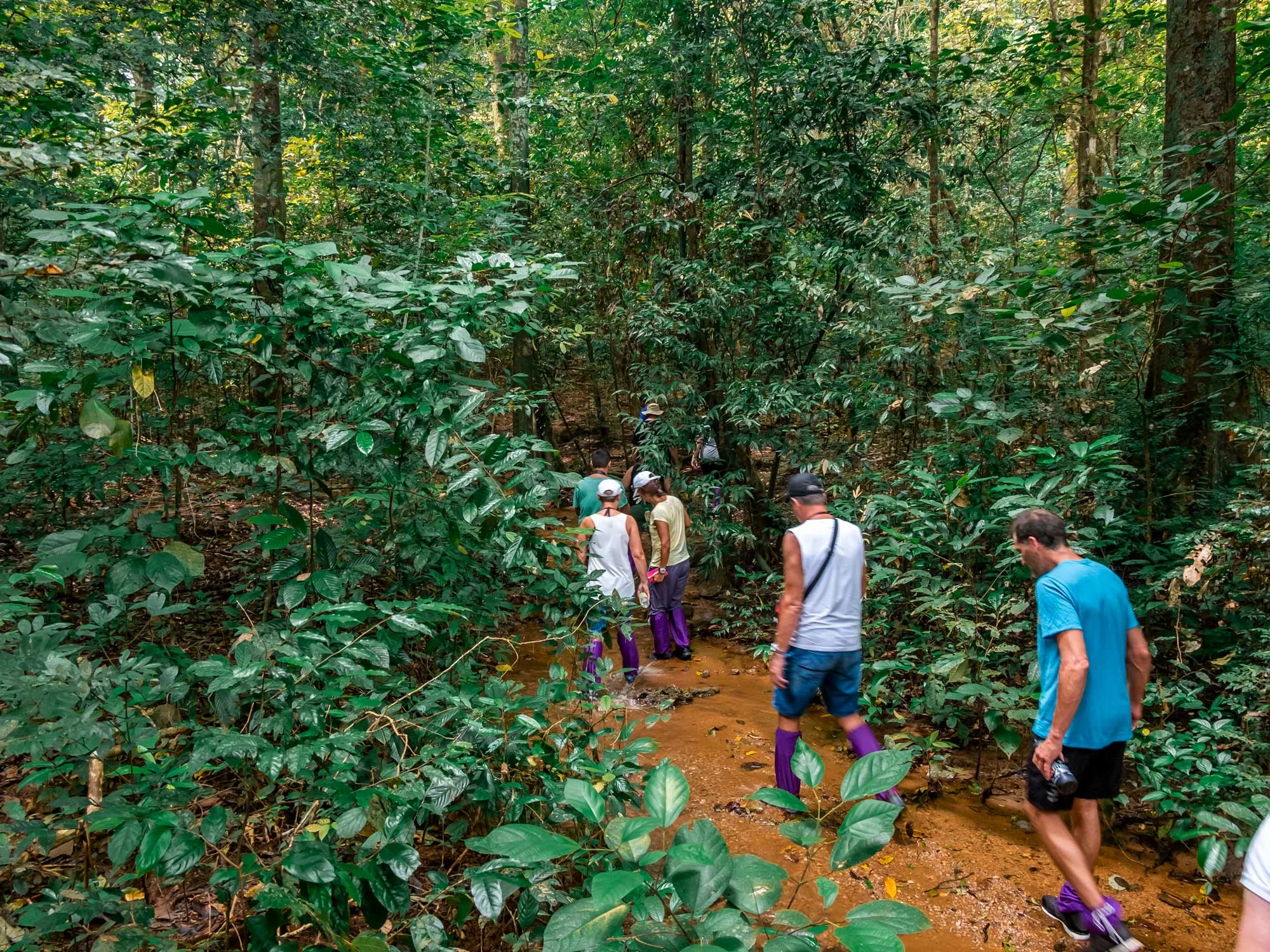 Jungle Trekking at Khao Sok Lake