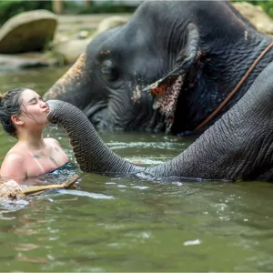 Khao Lak Nature Safari with Elephant bathing