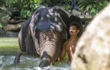 Phang-Nga-Elephant-Sanctuary-jpg