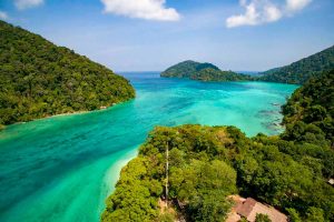 Surin Islands snorkeling day trip — clear water and coral reef at Ko Surin