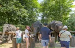 Thailand-Elephant-Interaction-jpg