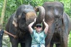 Elefanten Baden Khao Lak – Ethische Tierschutz-Halbtagestour