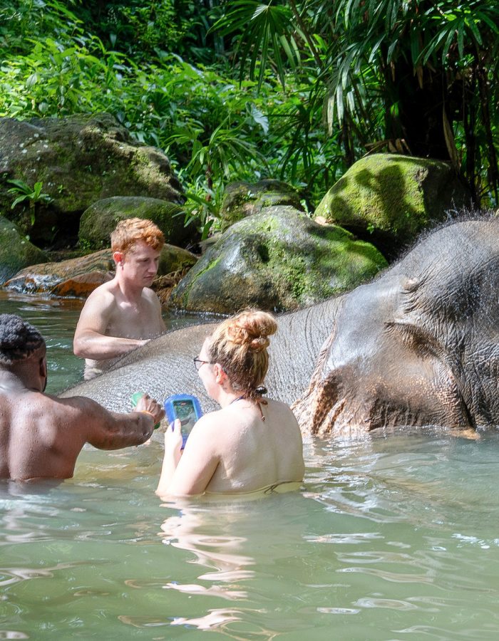 Elephant Bath Khao Lak — Ethical Half-Day Tour