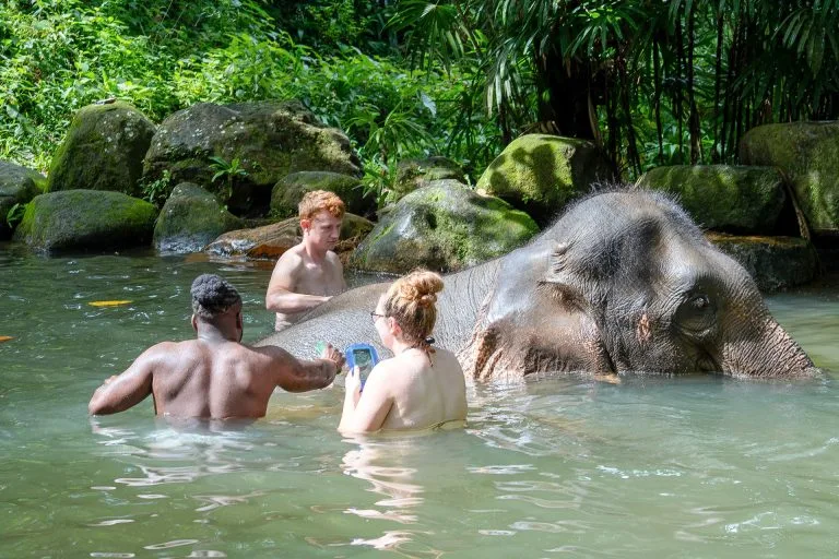 Elefanten Baden Khao Lak – Ethische Tierschutz-Halbtagestour