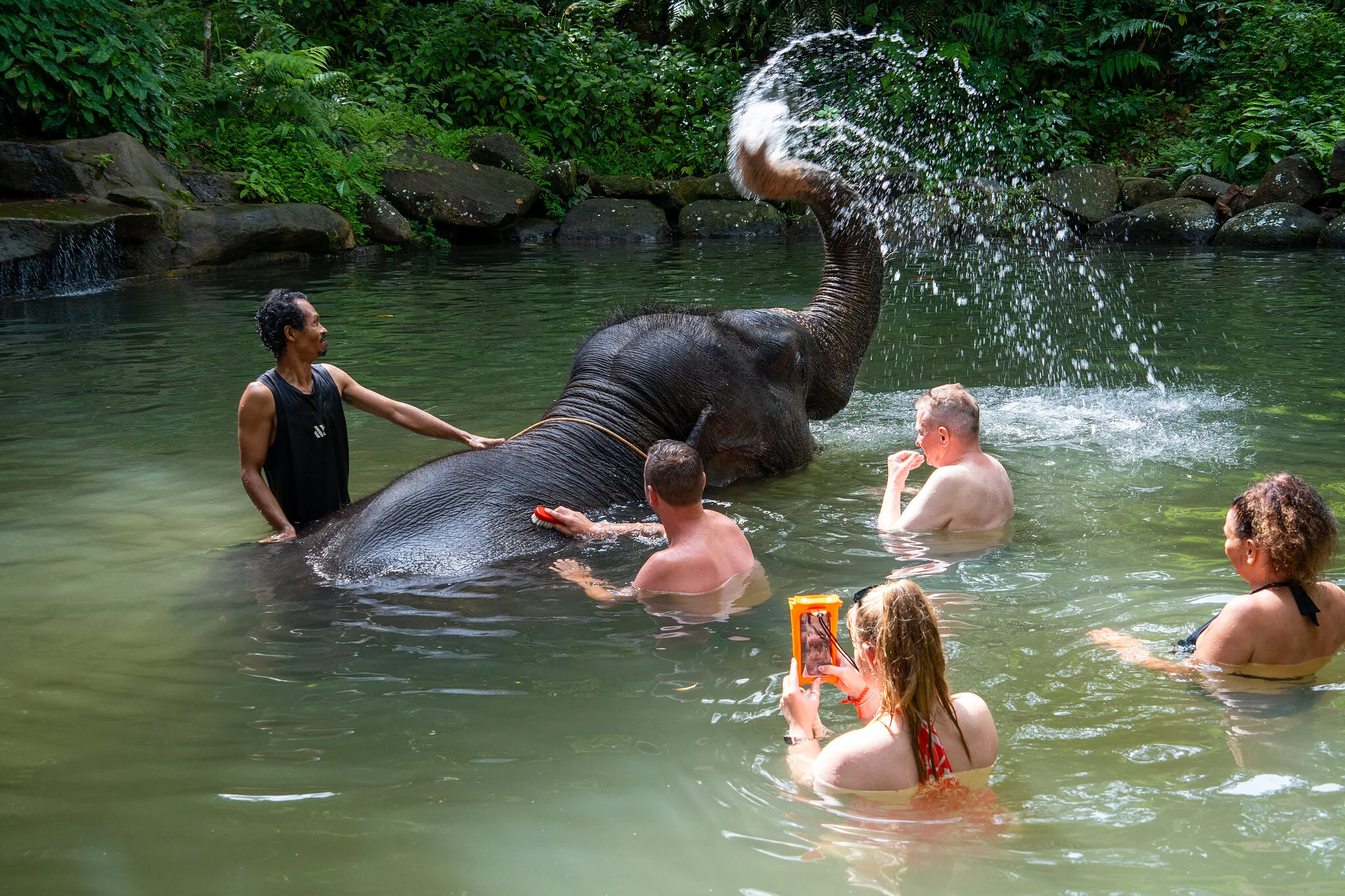 Elephant spraying water from its trunk as guests and a mahout wade alongside in a jungle pool