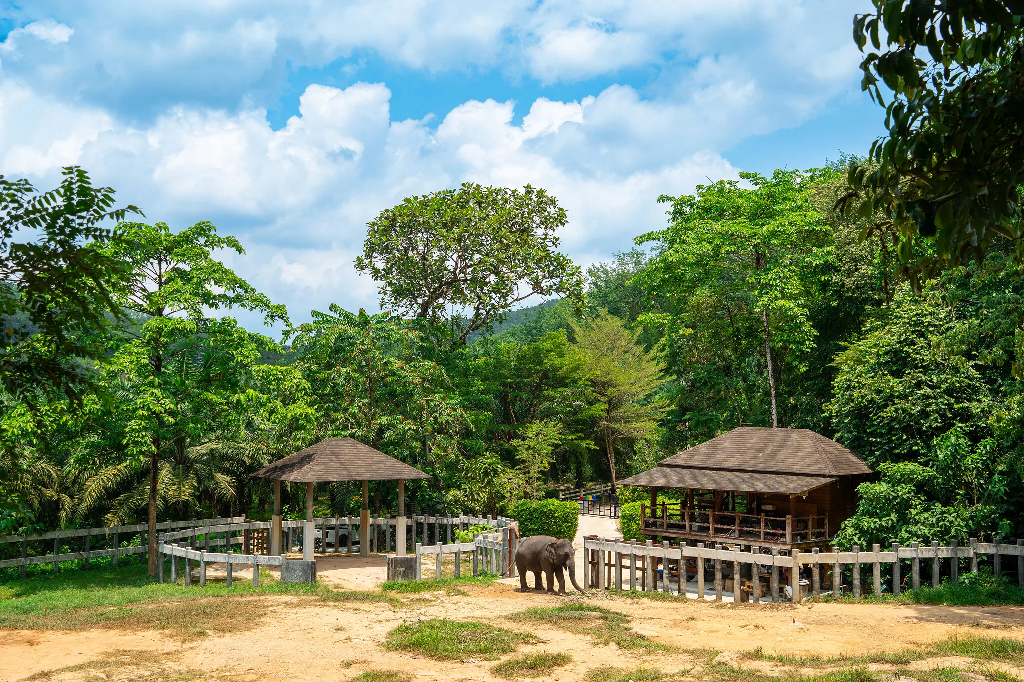 Elephant camp grounds with thatched shelters and rainforest under a blue sky in Khao Lak