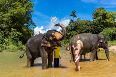 ELEPHANT BATHING AT WELFARE CENTER