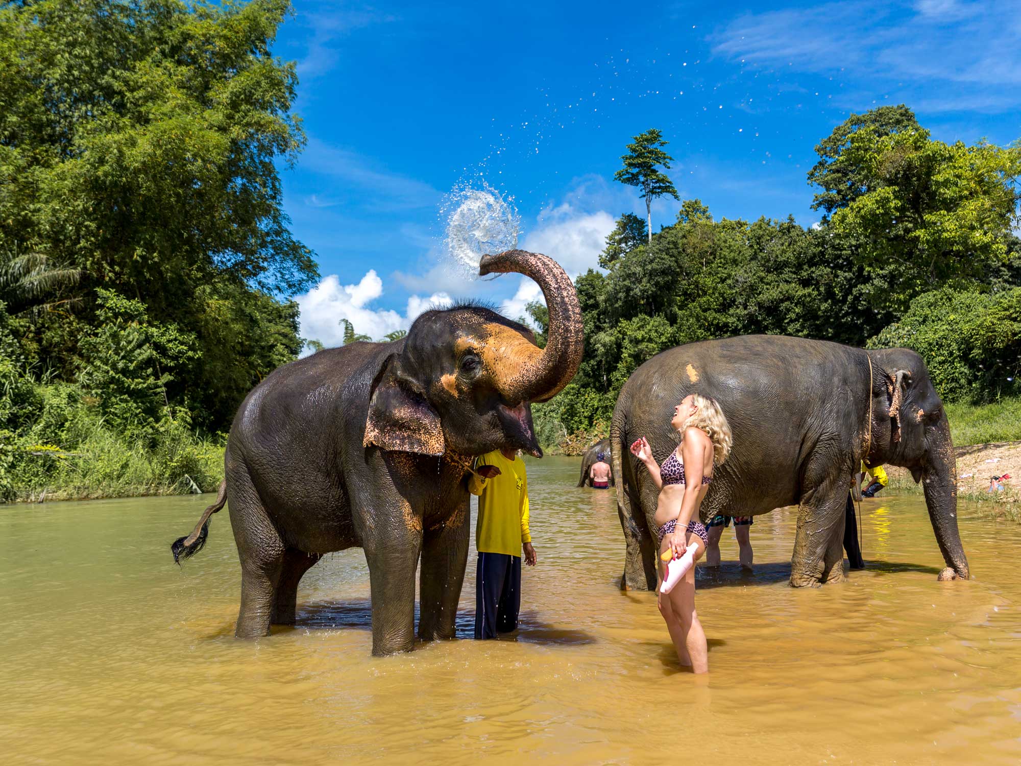 ELEPHANT BATHING AT WELFARE CENTER