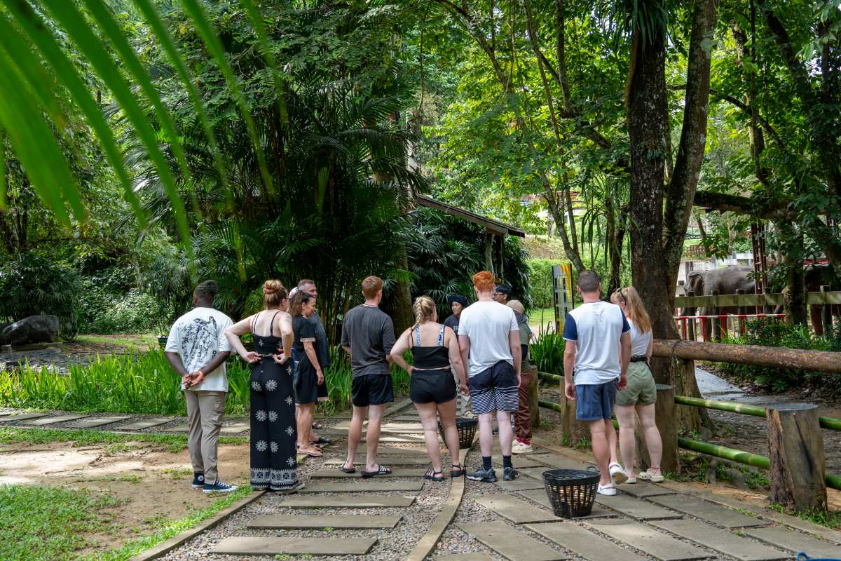 khao lak elephant tour