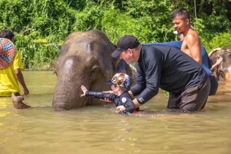 Elephant bathing at Khao Sok