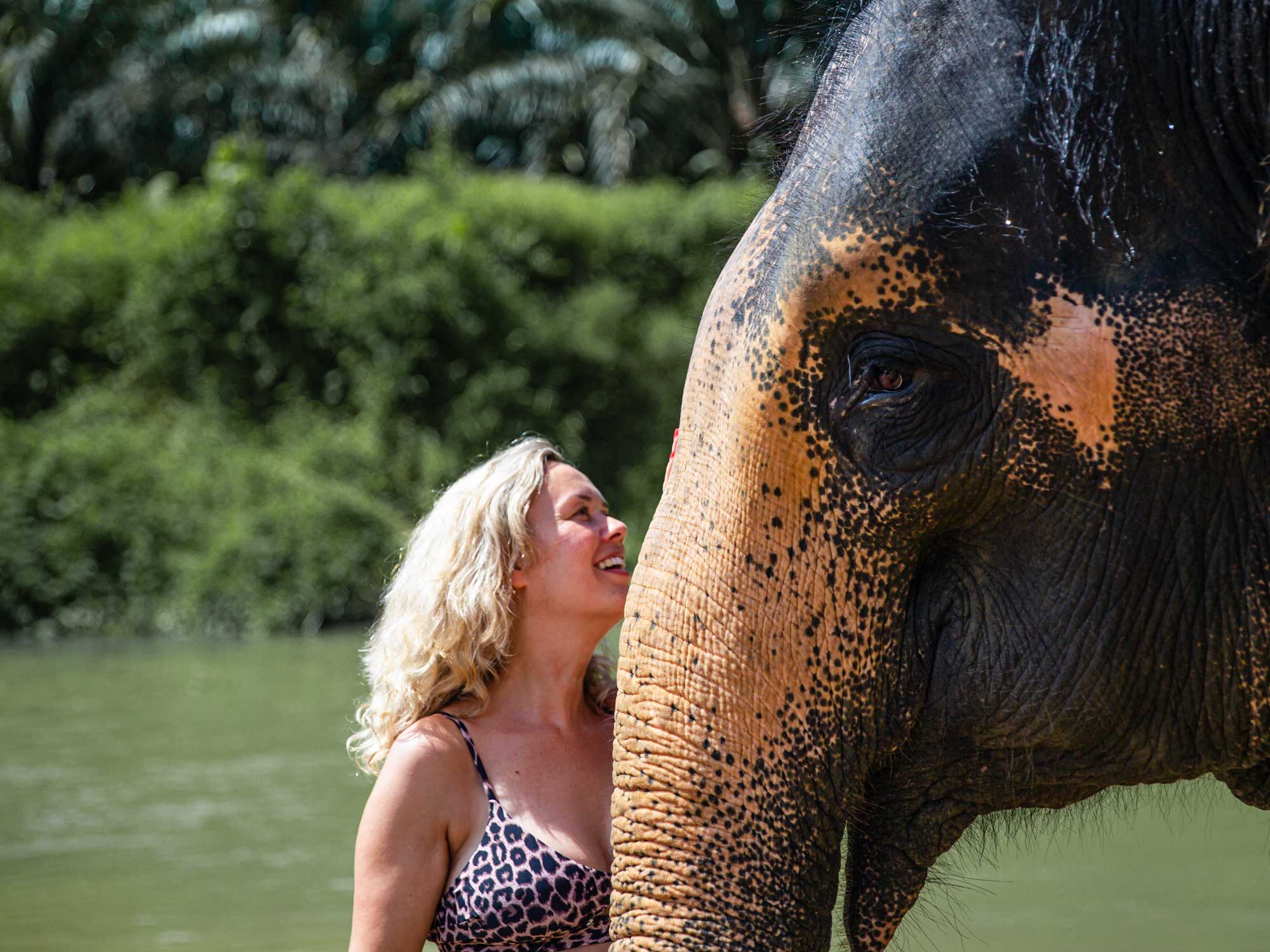 Khao Lak Webcam - Khao Sok Elephant Camp Khao Sok Tagesausflug – Nasses Und Wildes Vergnügen Für Alle Altersgruppen!