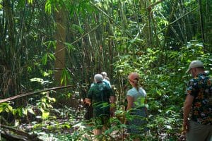 Small group walking through bamboo rainforest with a guide on a Cheow Lan Lake jungle trek