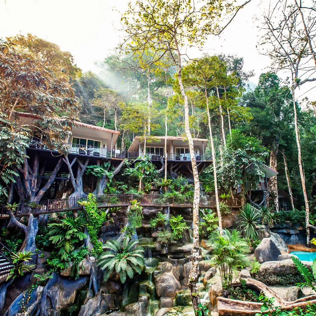 Khao Sok Tree house - Rock and Tree house Resort