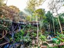 Khao Sok Treehouse Tour — 2-Day Discovery from Khao Lak