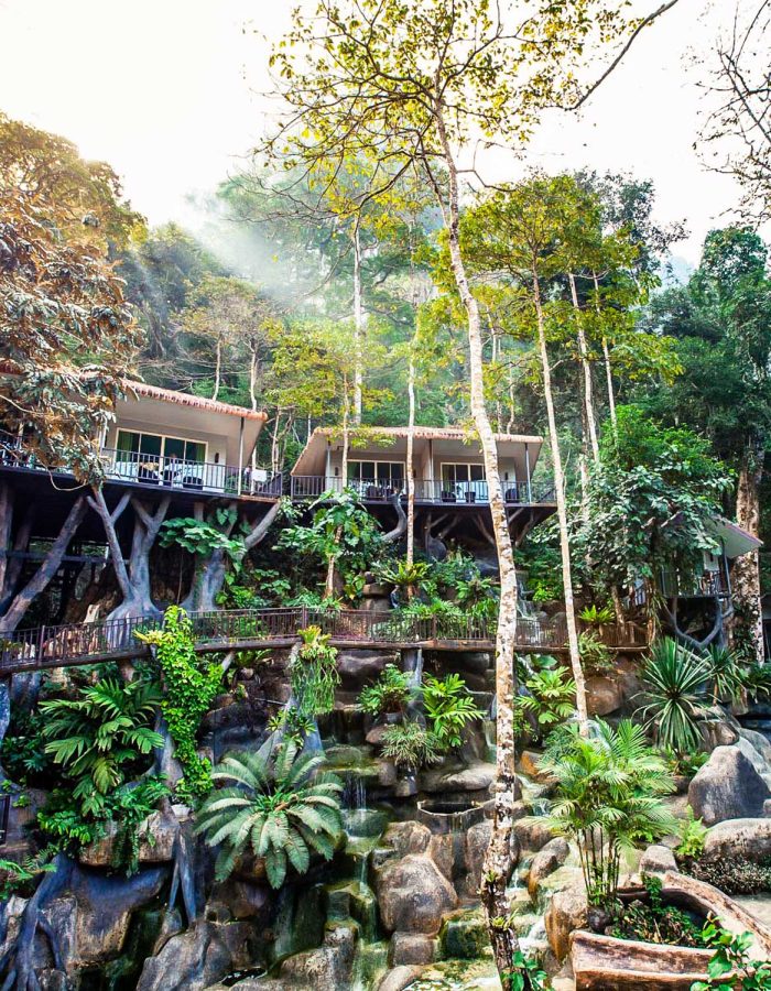 2 Tage Khao Sok Baumhaus – Traumhafte Natur Im  Khao Sok Nationalpark