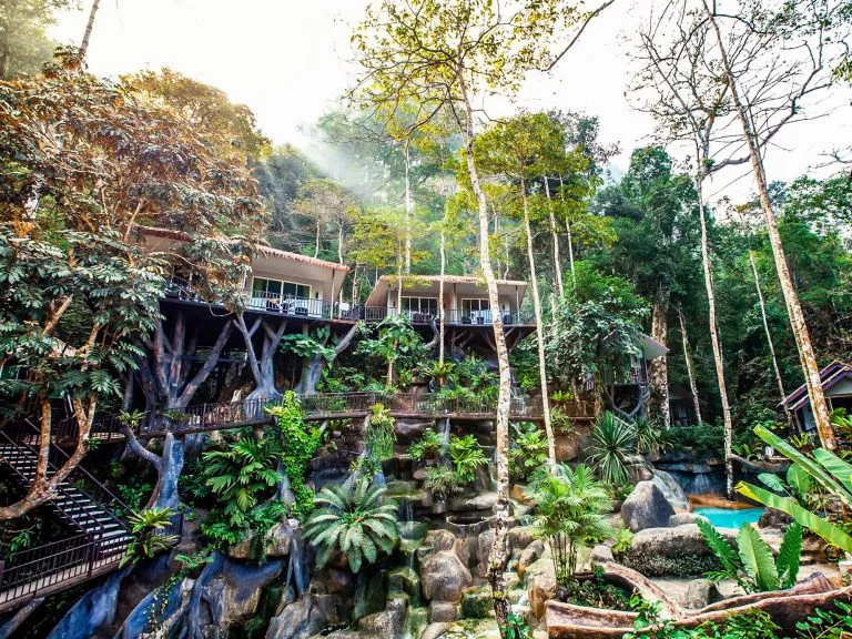 Khao Sok Treehouse Tour — 2-Day Discovery from Khao Lak