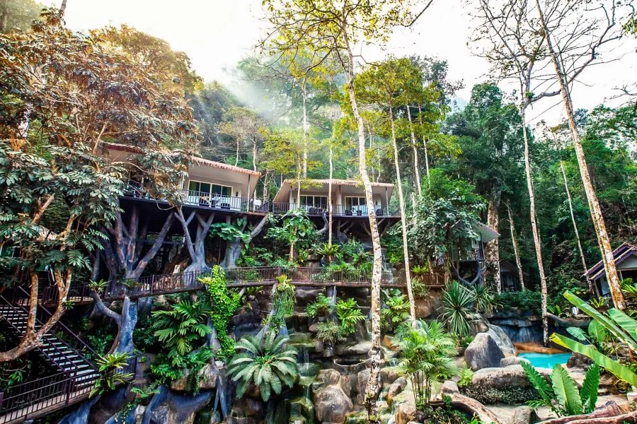 Khao Sok Baumhaus - Rock And Tree House Resort
