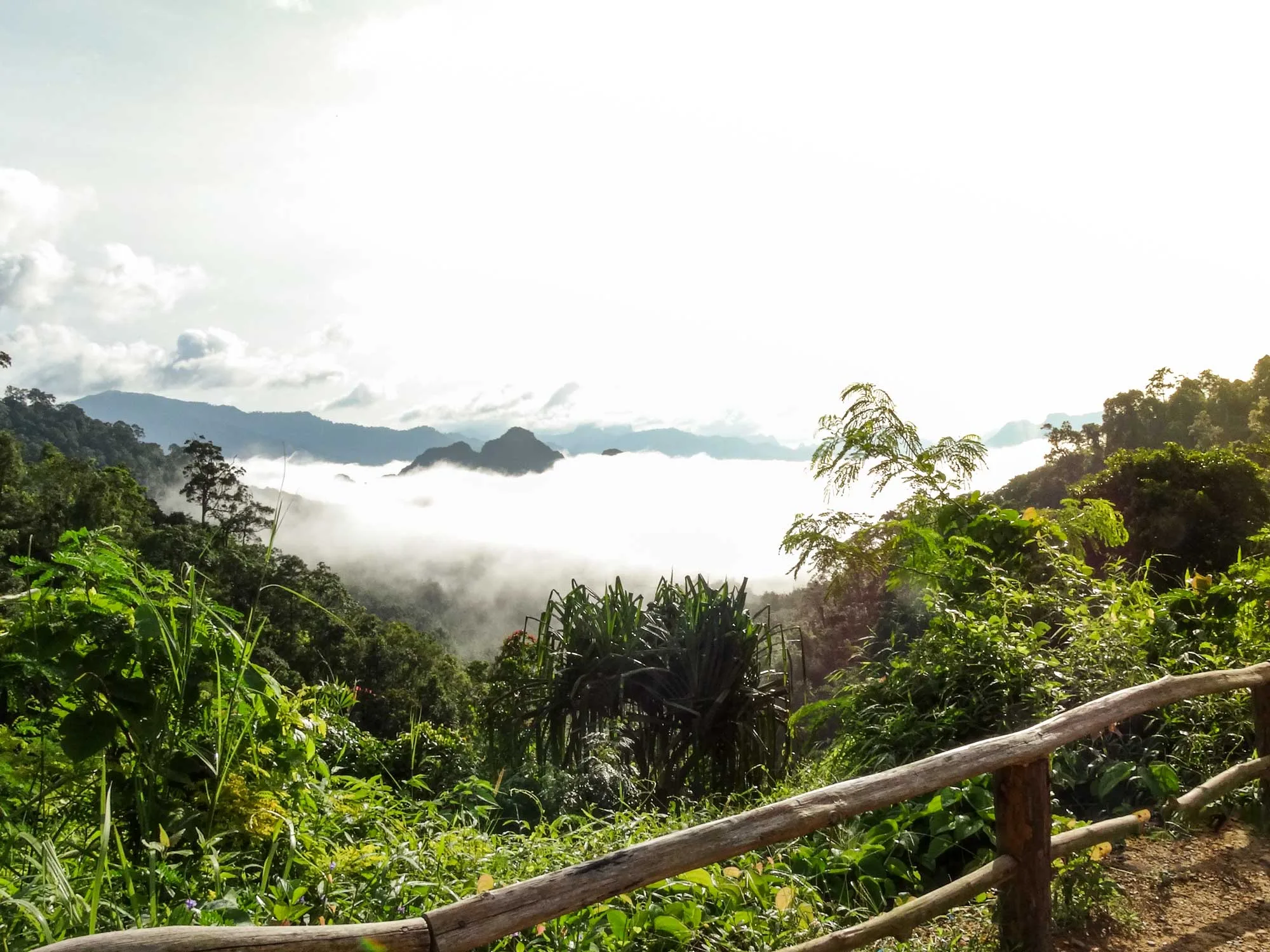 Khao Sok Viewpoint