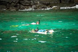 Snorkellers floating over a reef in clear green water on the Phi Phi Islands snorkelling tour