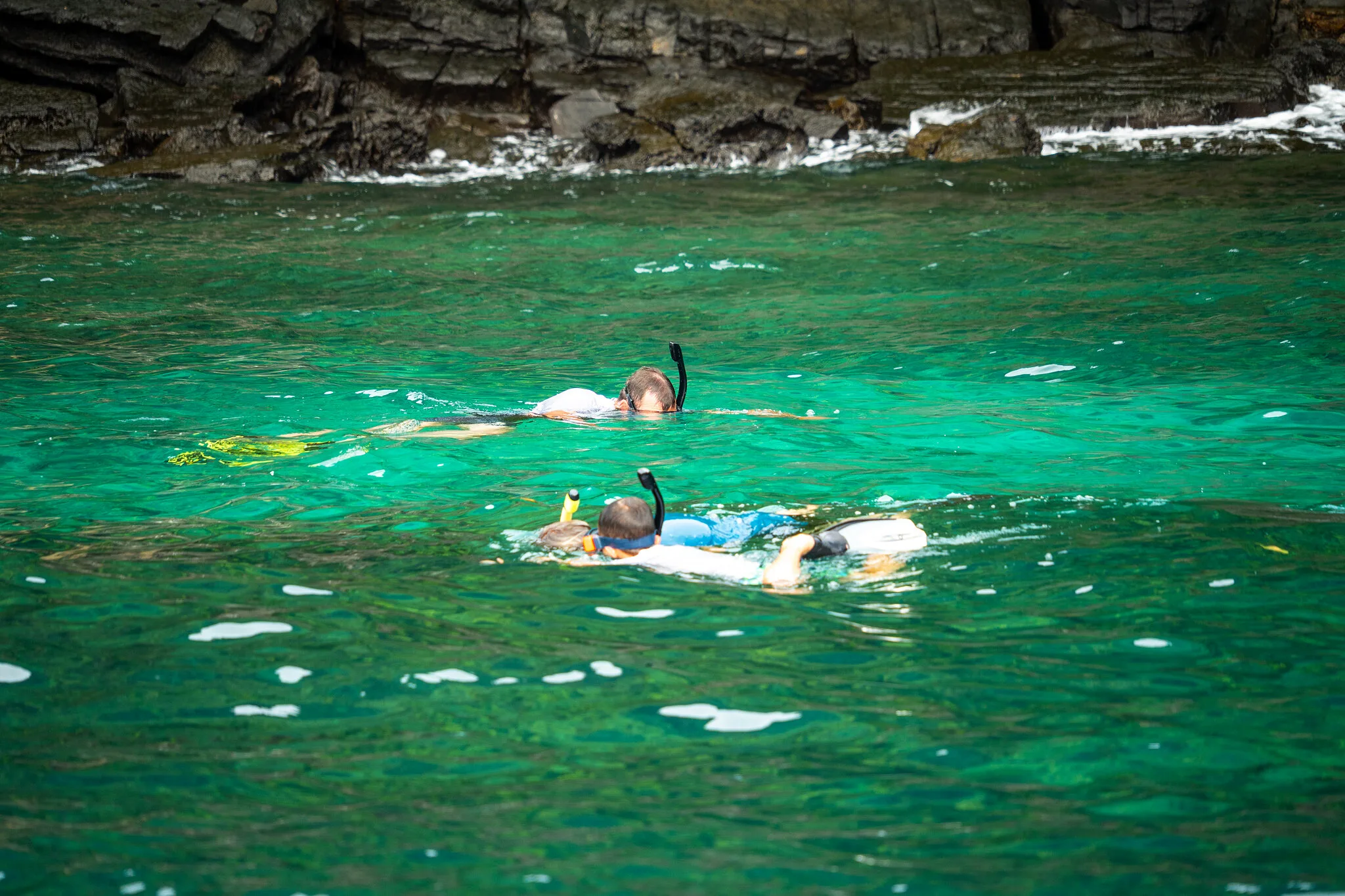 Snorkellers floating over a reef in clear green water on the Phi Phi Islands snorkelling tour