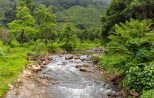 Ton Pariwat Waterfall