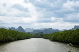 Mangrovengesäumter Fluss und Kalksteingipfel vom Mittagsstopp in Phang Nga aus gesehen