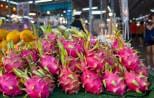 dragon-fruit