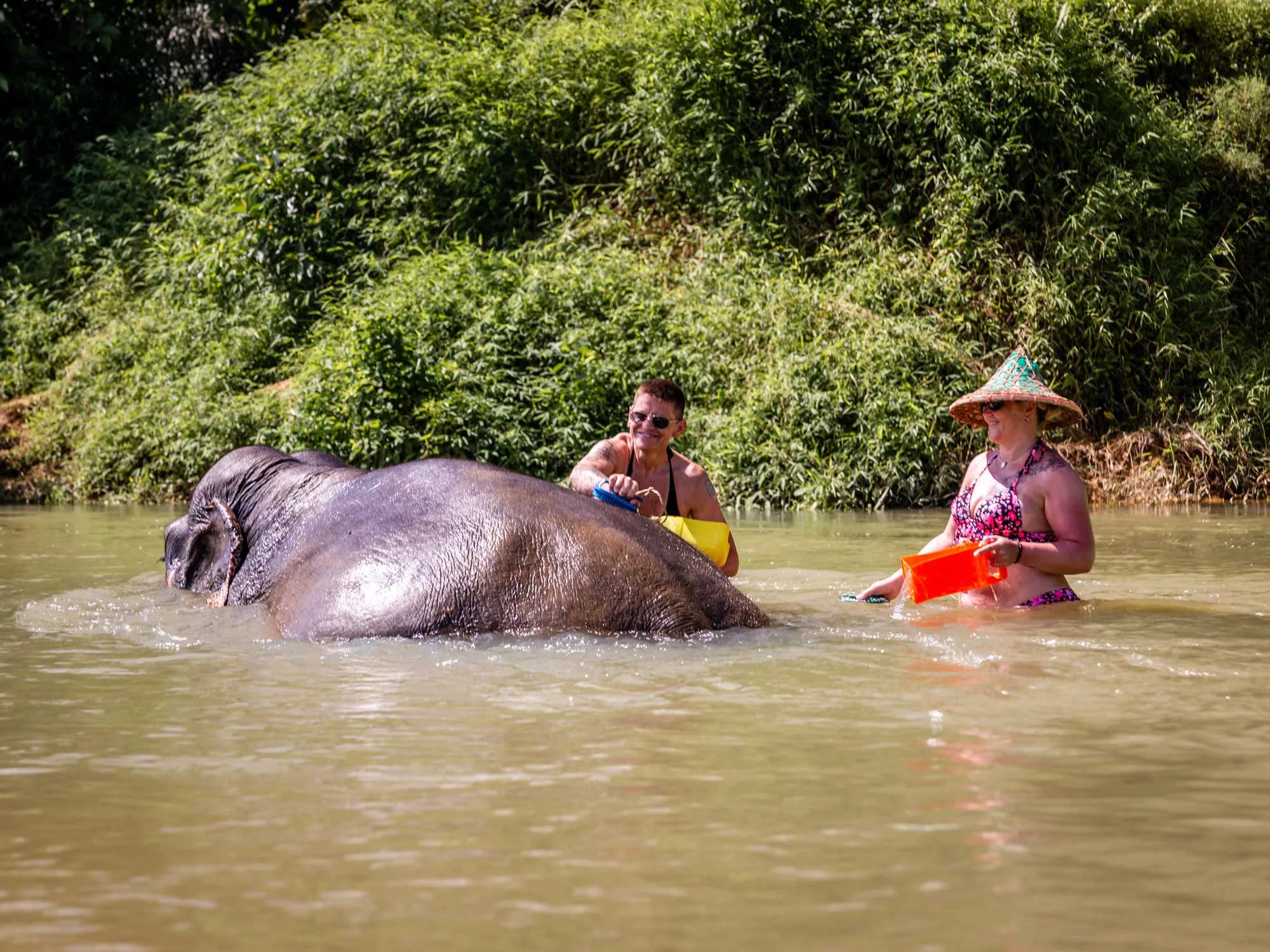 Elephant bathing in a river in Khao Sok National Park