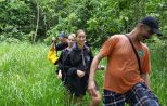 Hikers trekking a dense jungle trail in Khao Sok