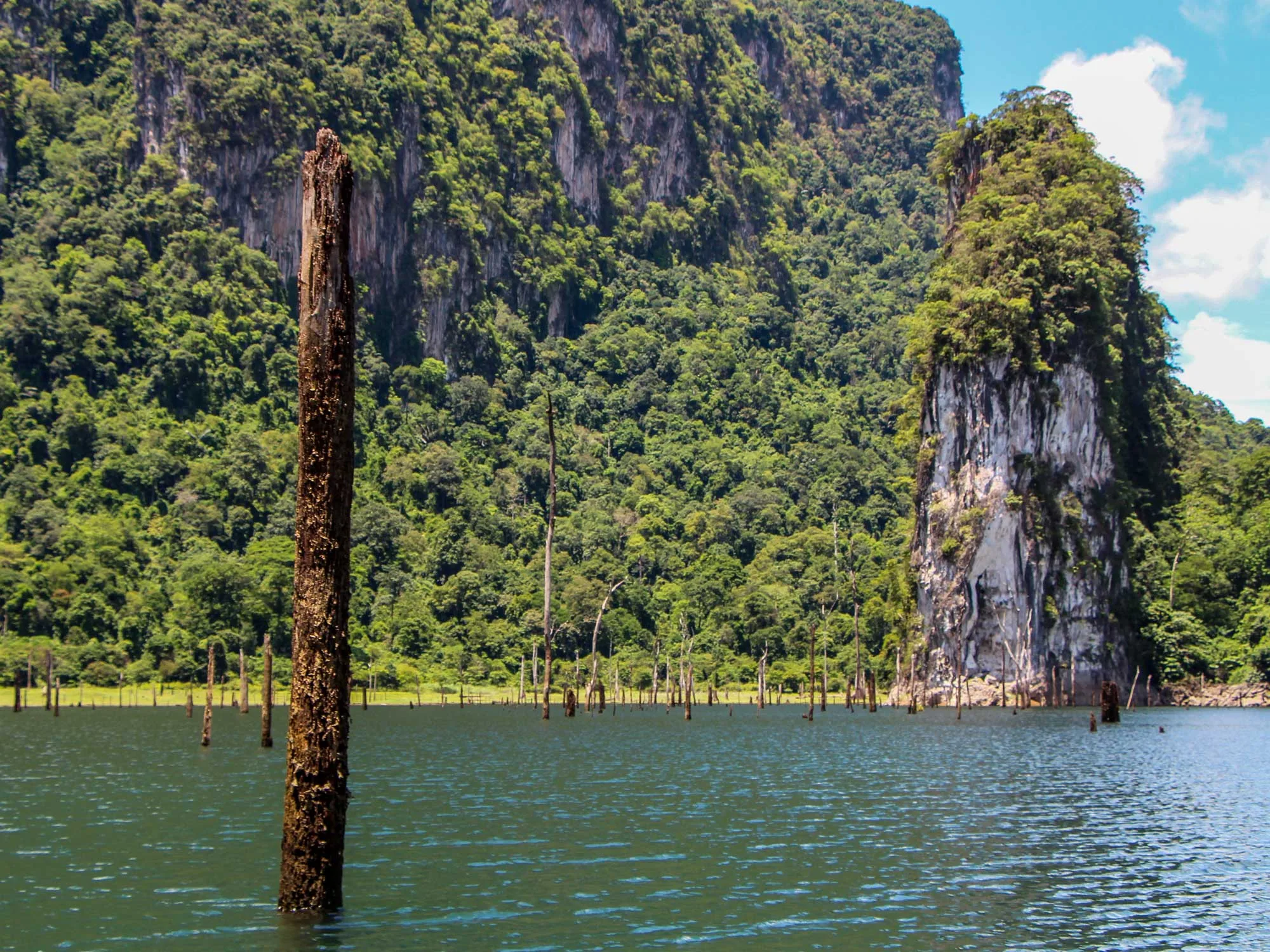 Emerald green lake surrounded by limestone karsts in Khao Sok