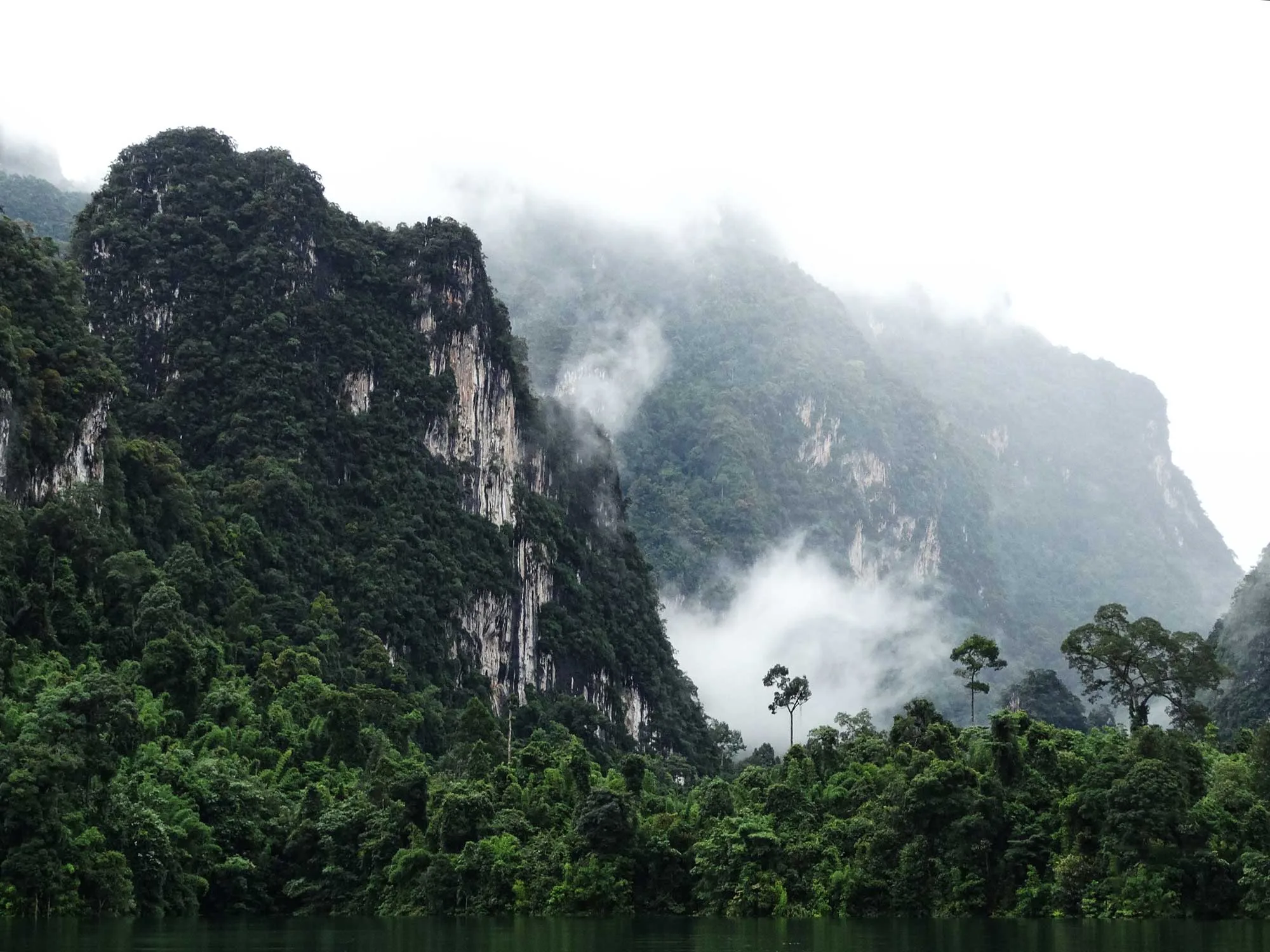 Khao Sok Lake Overnight trips with Khao Lak Land Discovery
