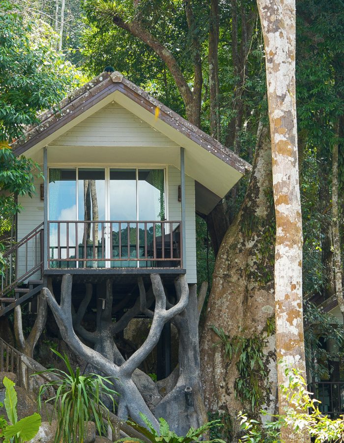 Khao Sok Treehouse Tour — 2-Day Discovery From Khao Lak
