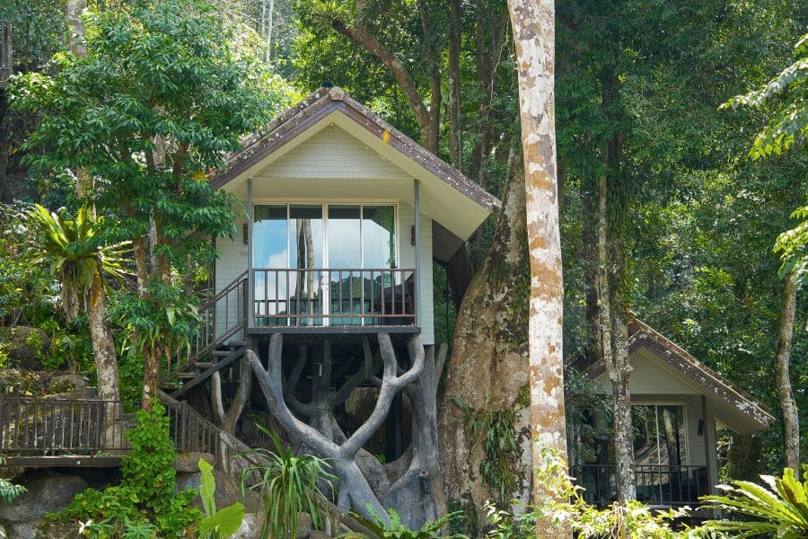 Treehouse bungalow built on a sculpted tree trunk in the rainforest at the Rock and Treehouse Resort, Khao Sok